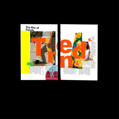 Magazine Template Indesign Collage