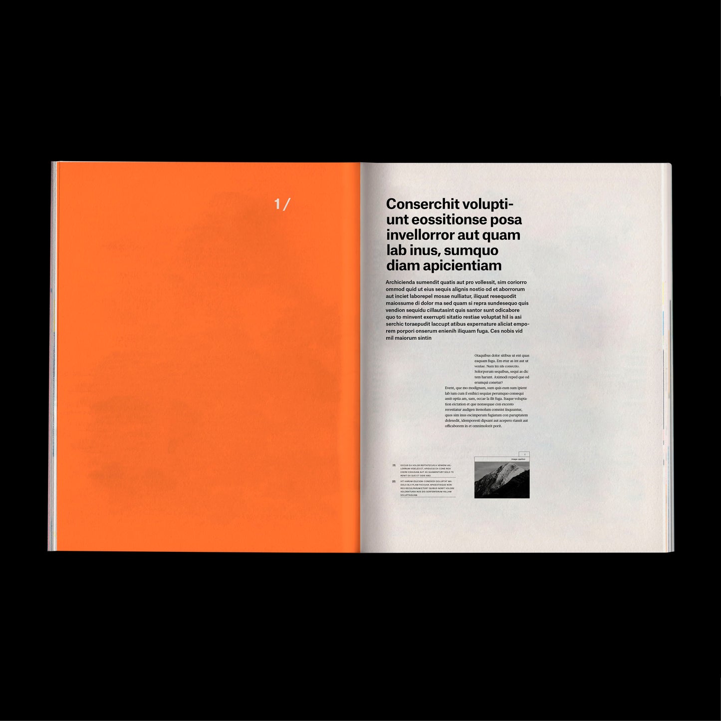 experimental book template Indesign Book layout modern