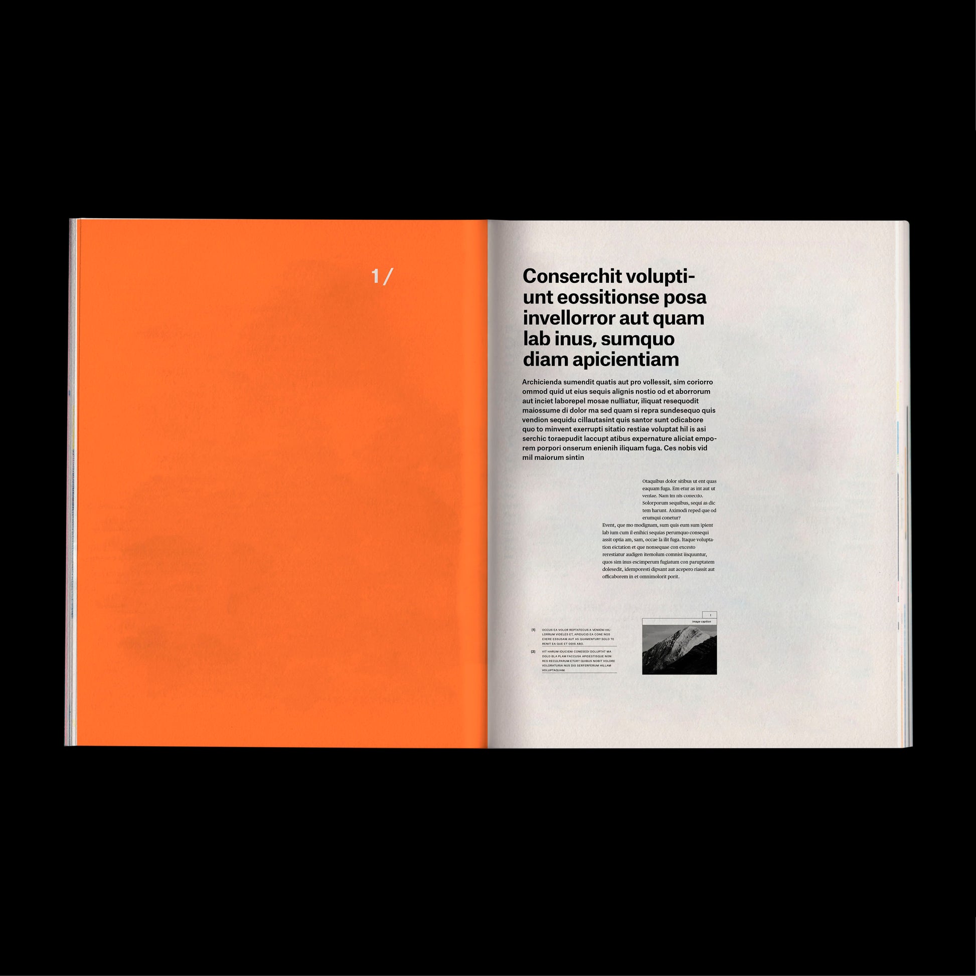 experimental book template Indesign Book layout modern