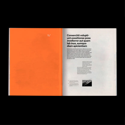 experimental book template Indesign Book layout modern