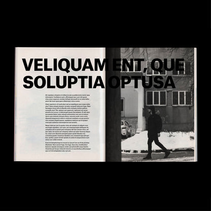 experimental book template Indesign Book layout modern