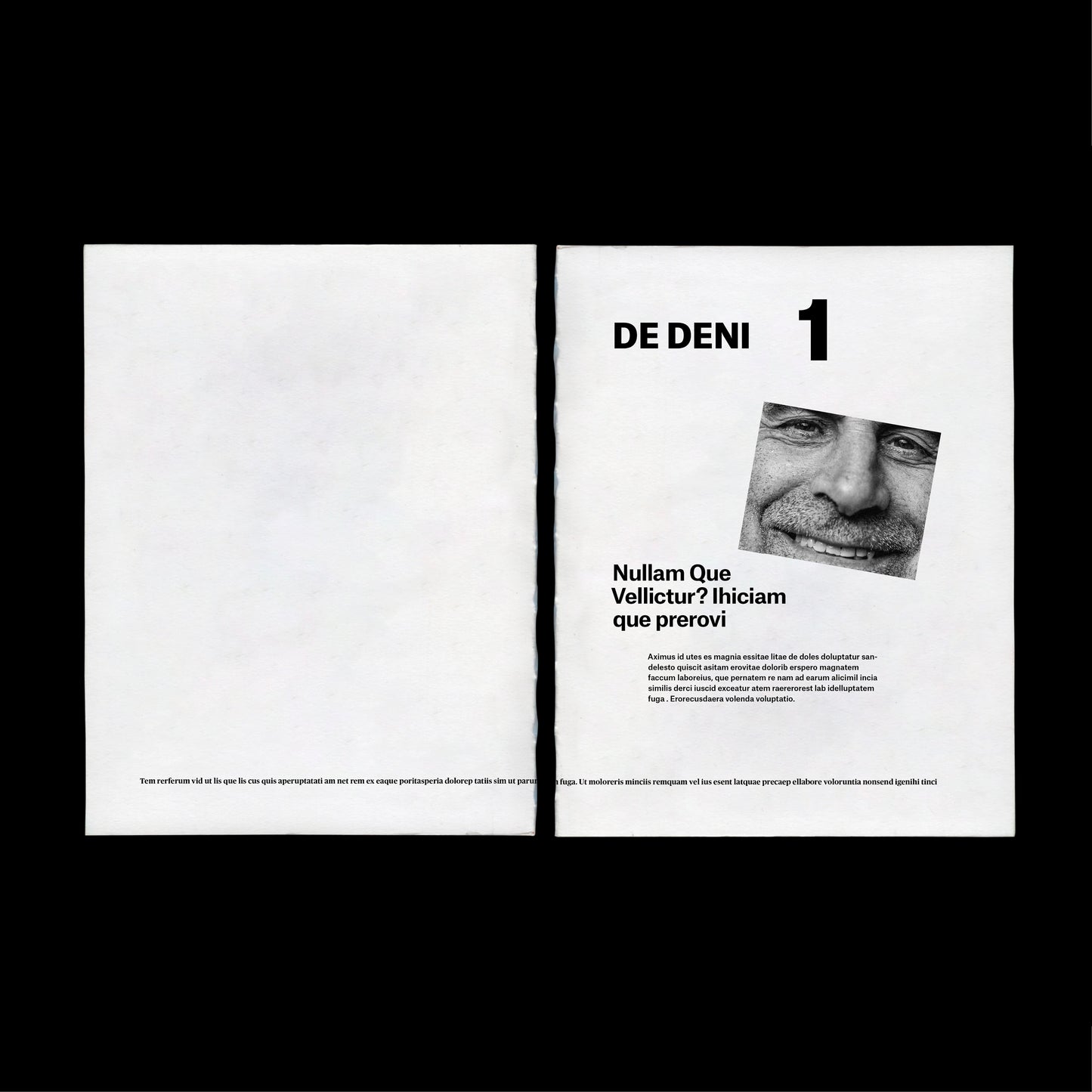 experimental book template Indesign Book layout modern