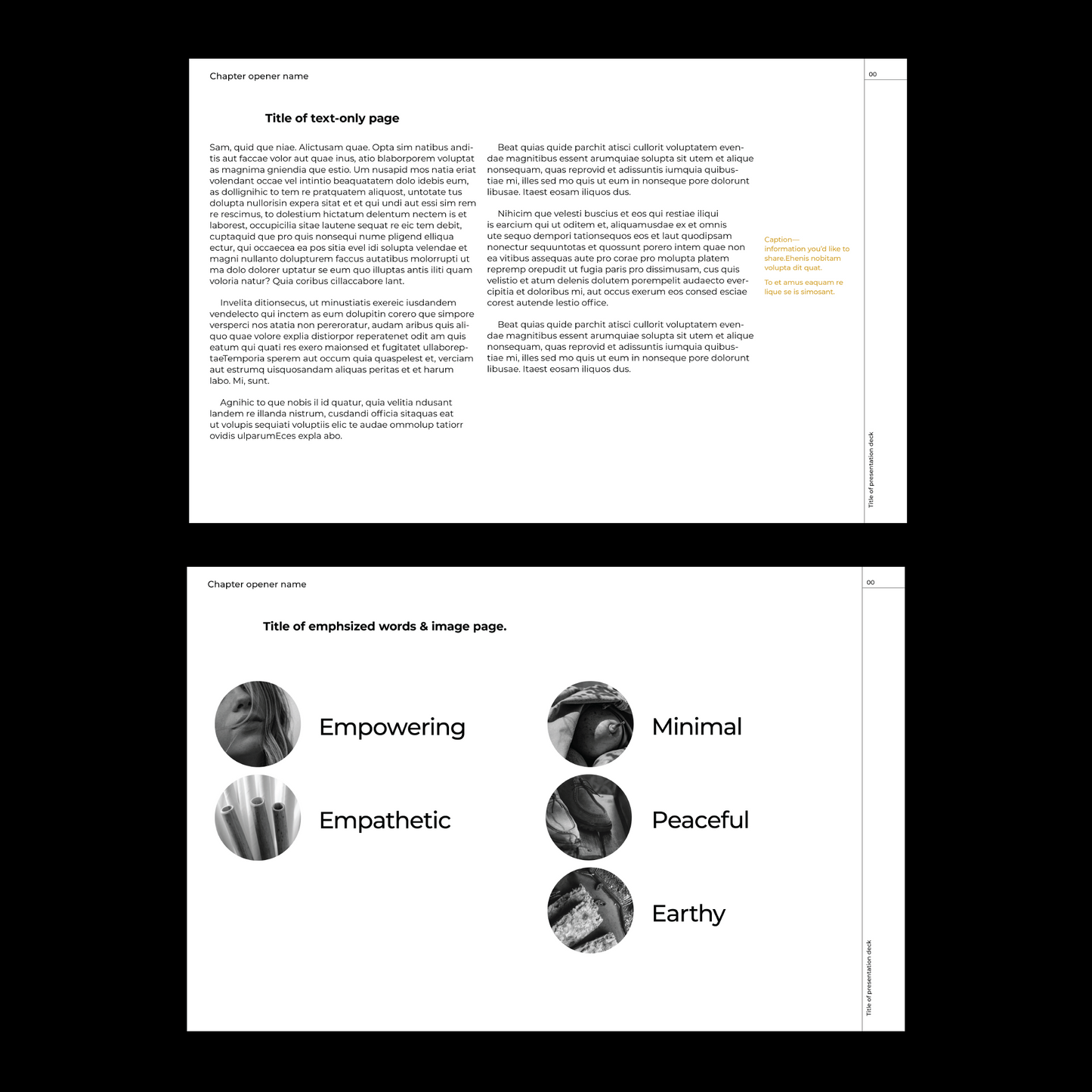 modern template Indesign Book layout 