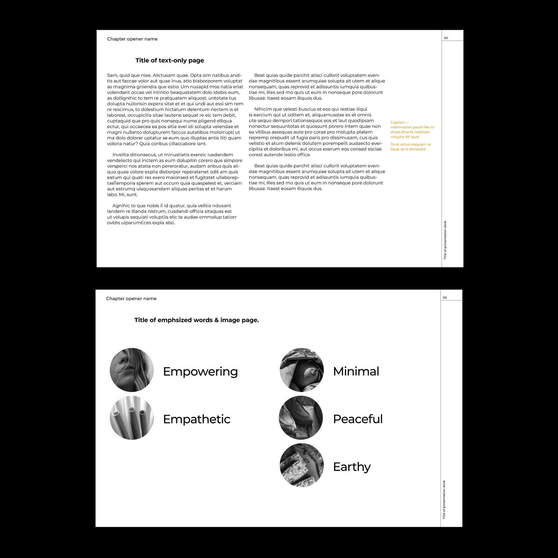 modern template Indesign Book layout 