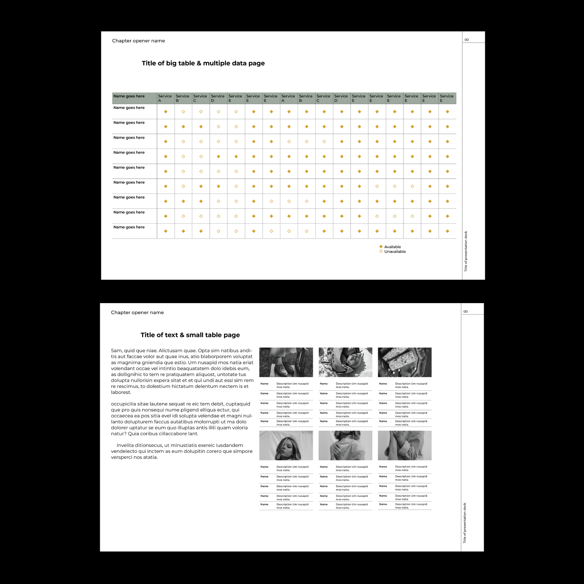 modern template Indesign Book layout 