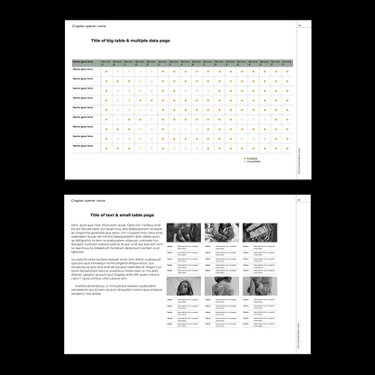 modern template Indesign Book layout 