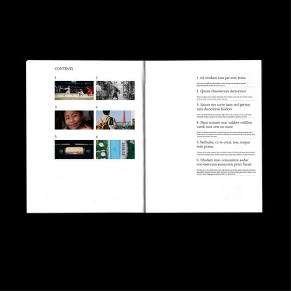 magazine template Indesign Book layout 
