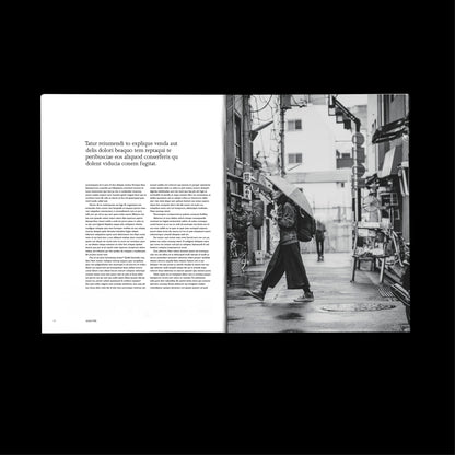 magazine template Indesign Book layout 