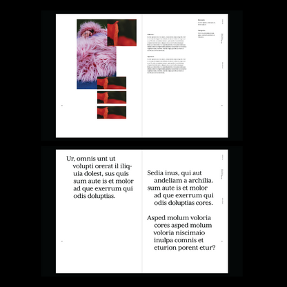 Fashion Portfolio Template