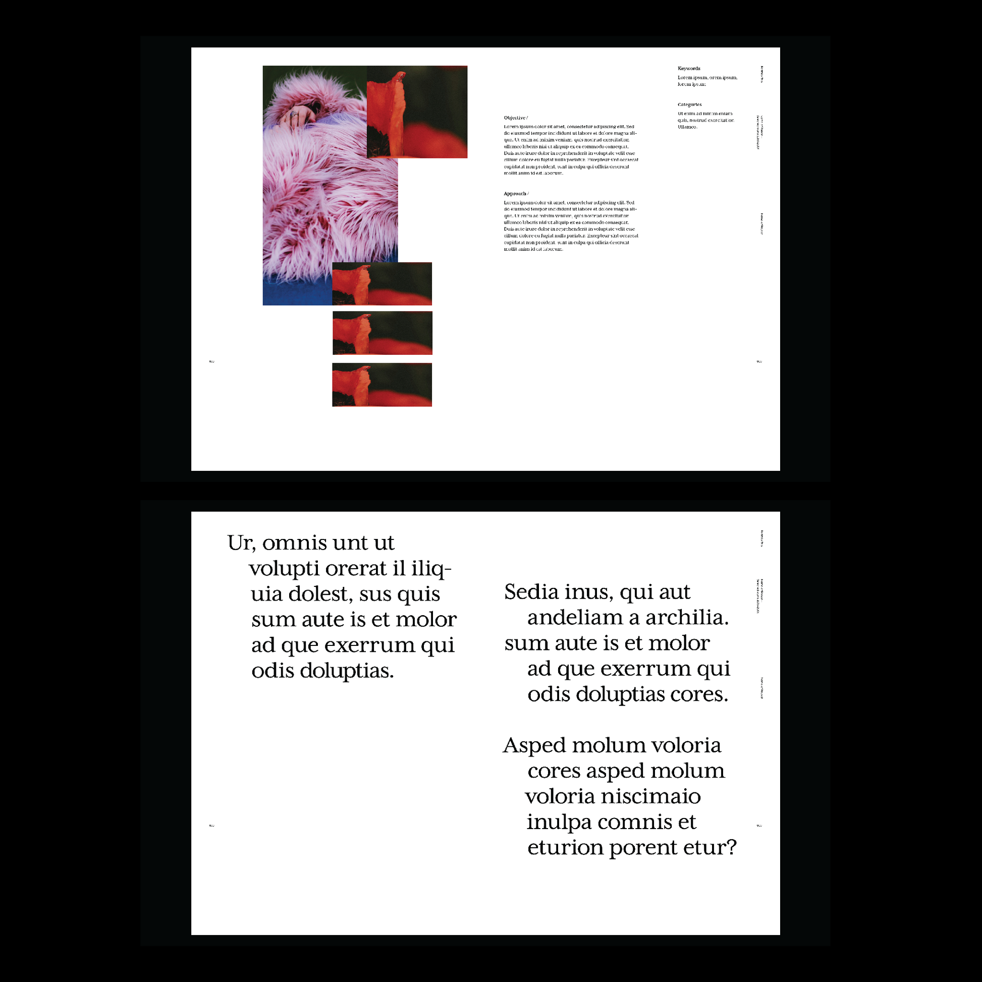 fashion portfolio book template Indesign Book layout
