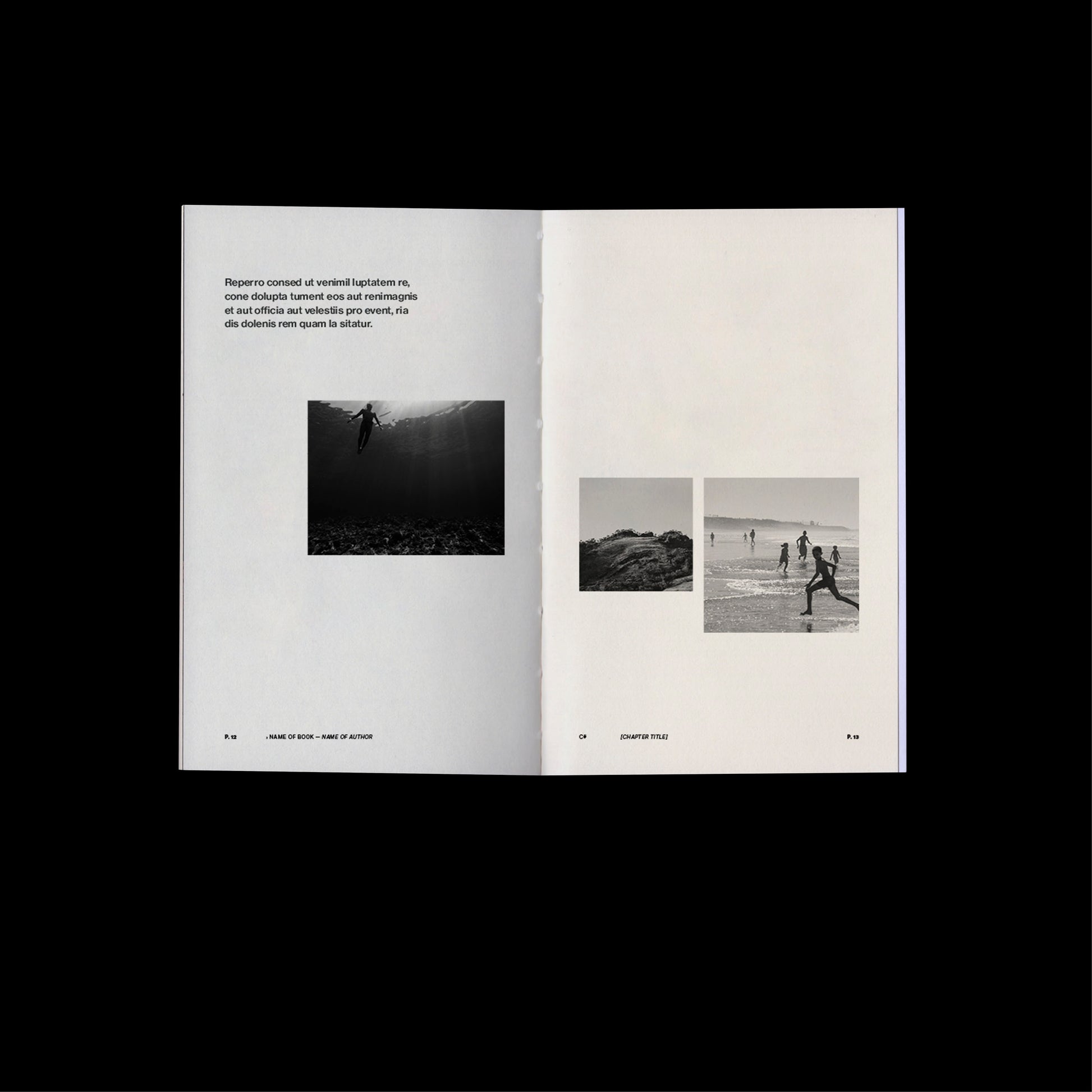 modern book template Indesign Book layout 