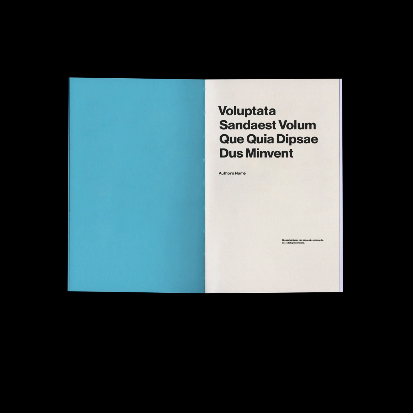 modern book template Indesign Book layout 