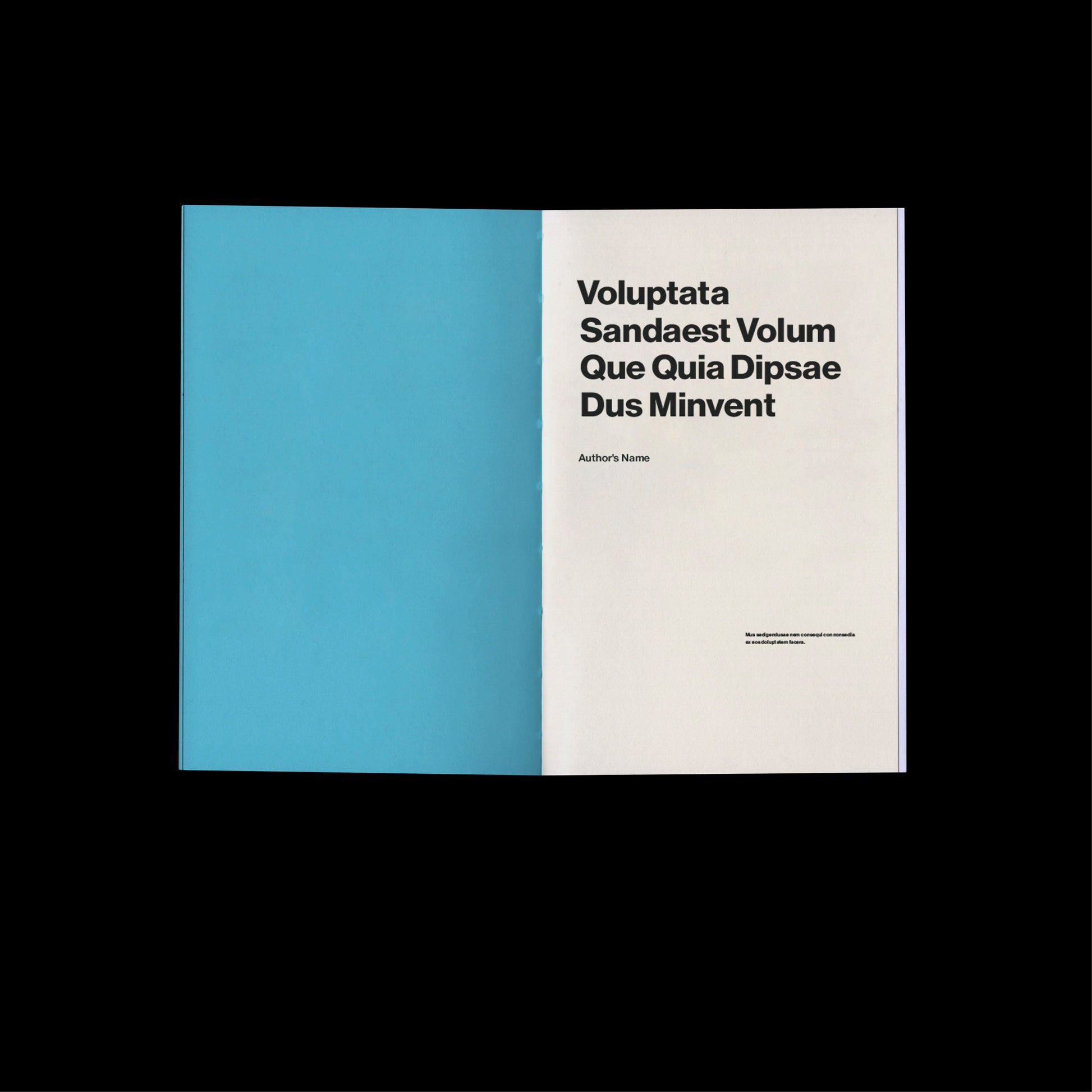 modern book template Indesign Book layout 