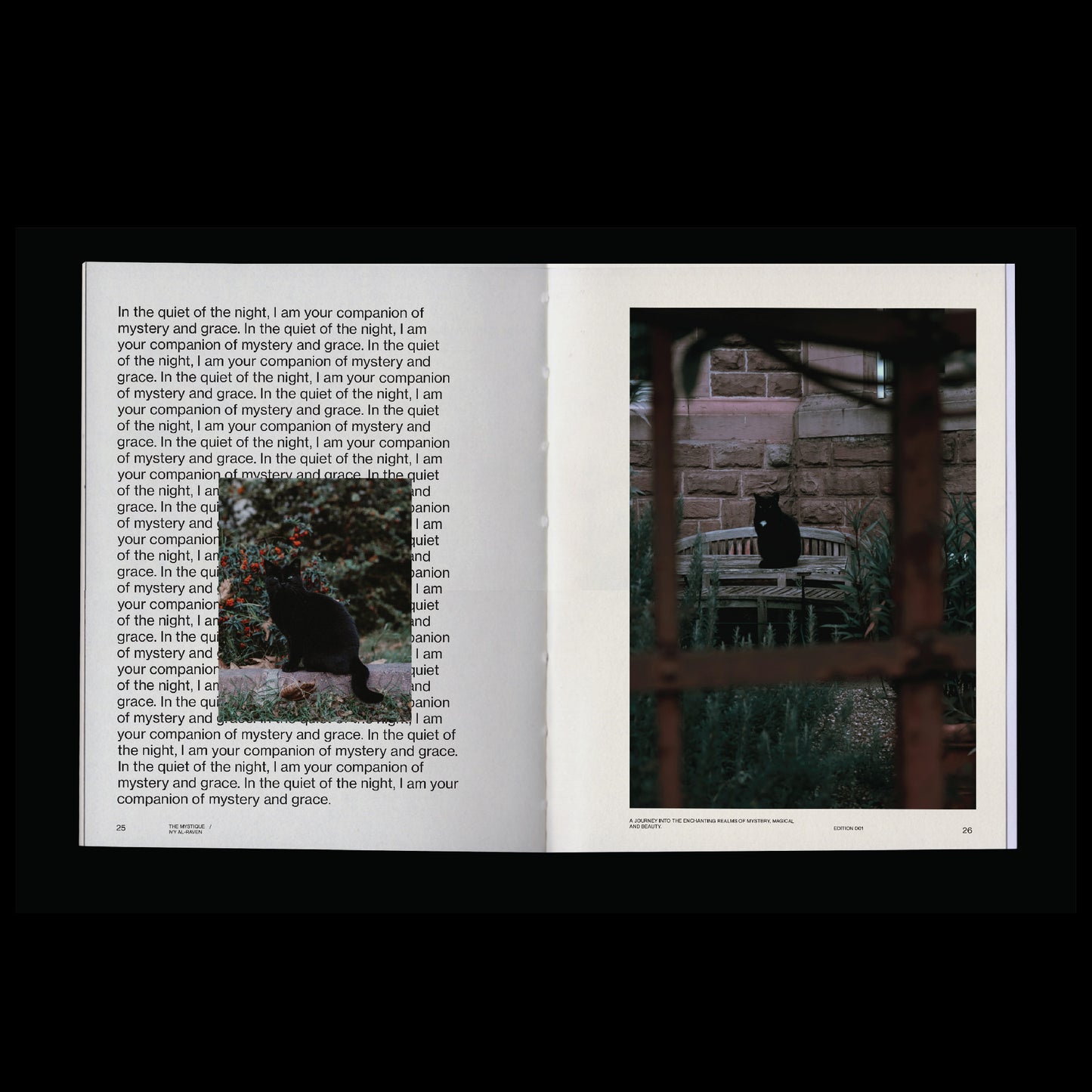 dark aesthetic book template indesign