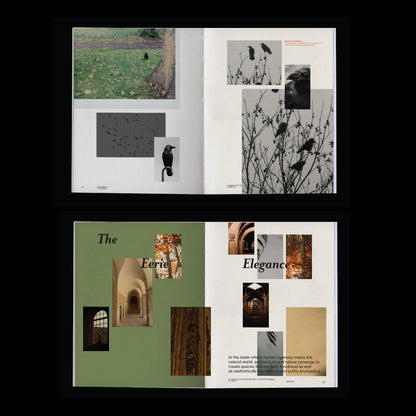 dark aesthetic book template indesign