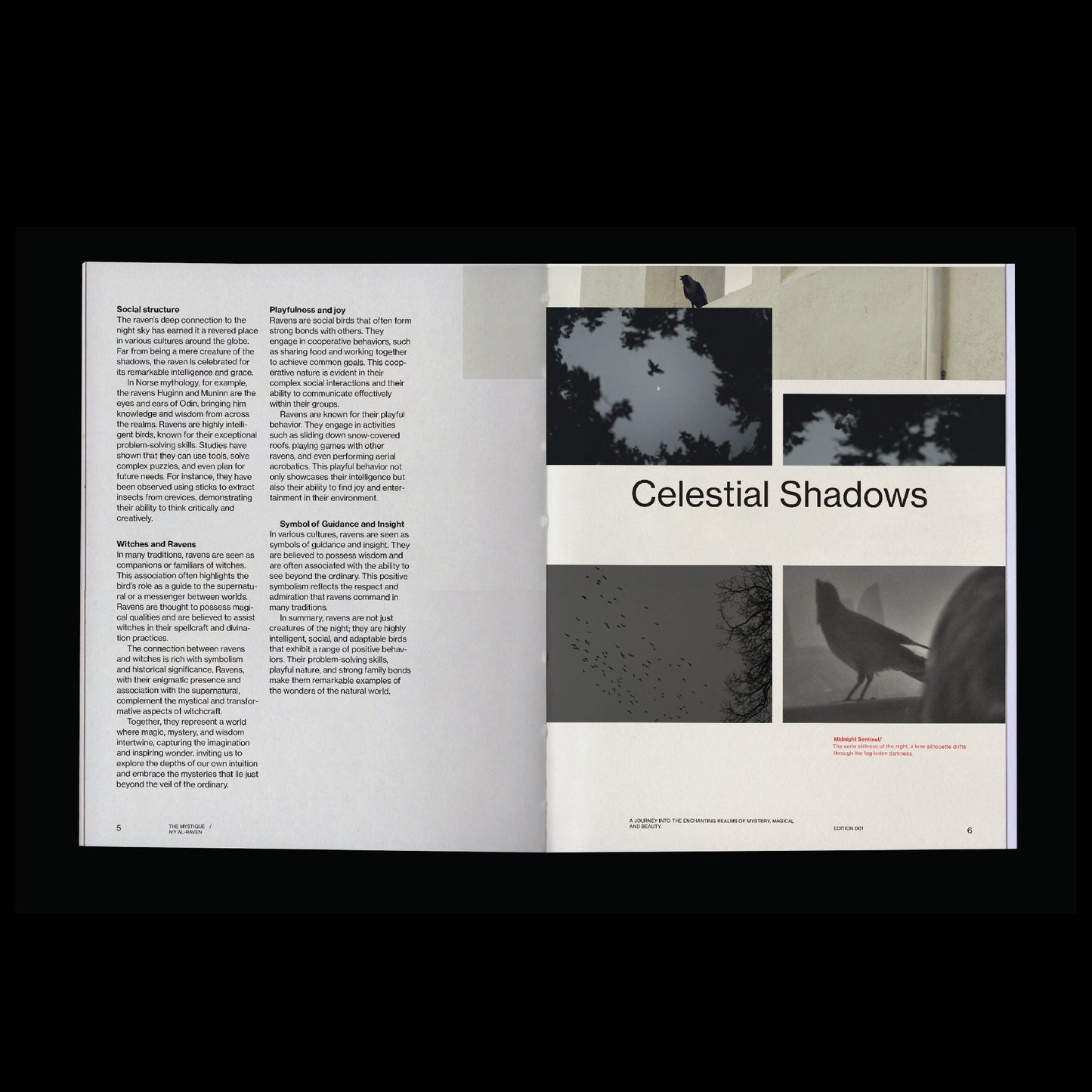 dark aesthetic book template indesign