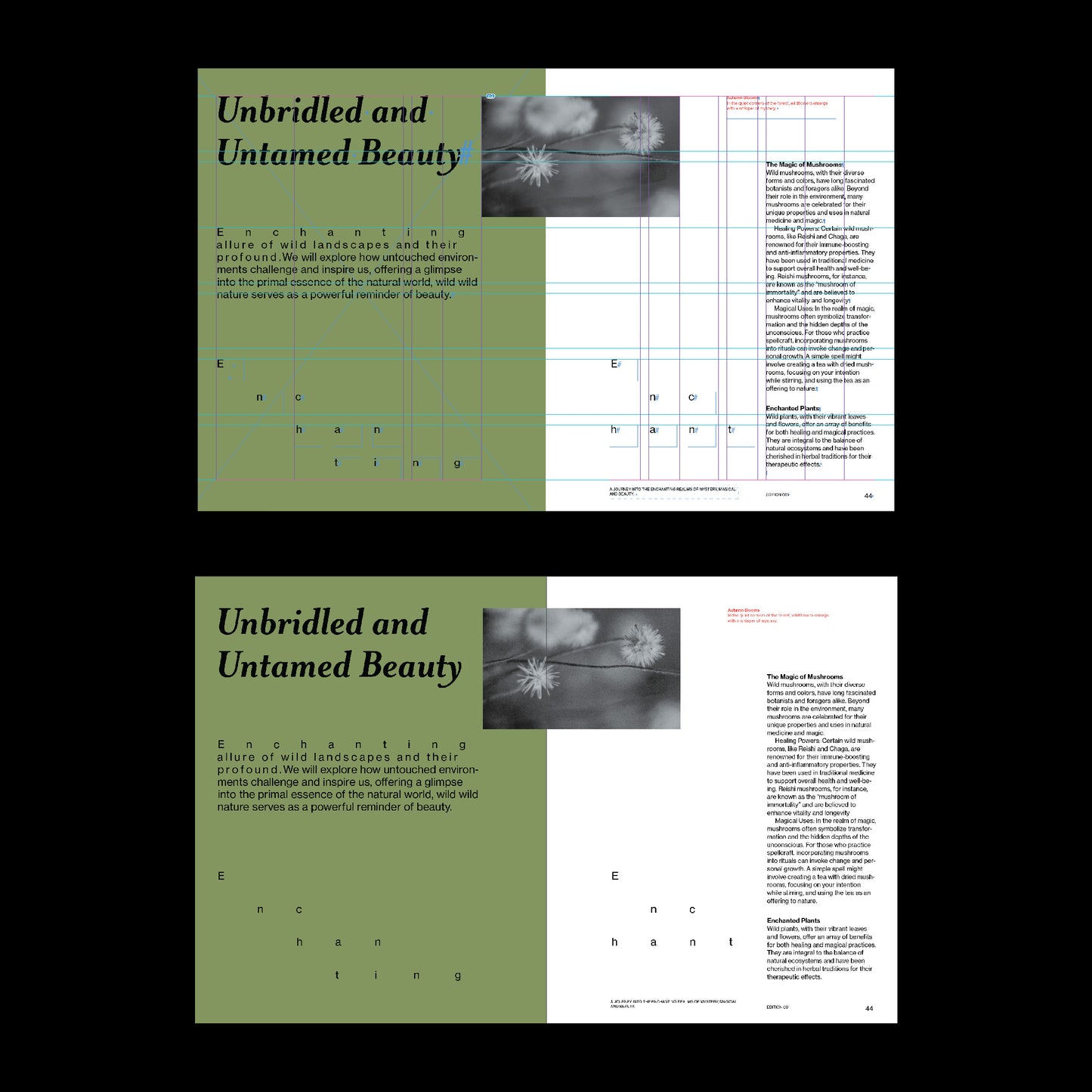 dark aesthetic book template with grid indesign