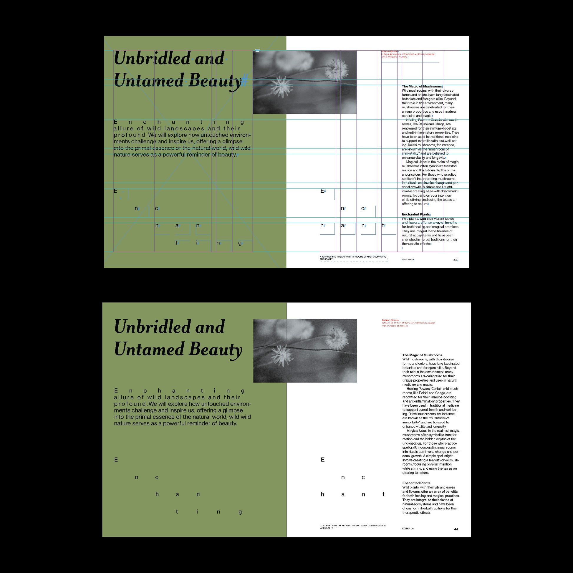 dark aesthetic book template with grid indesign