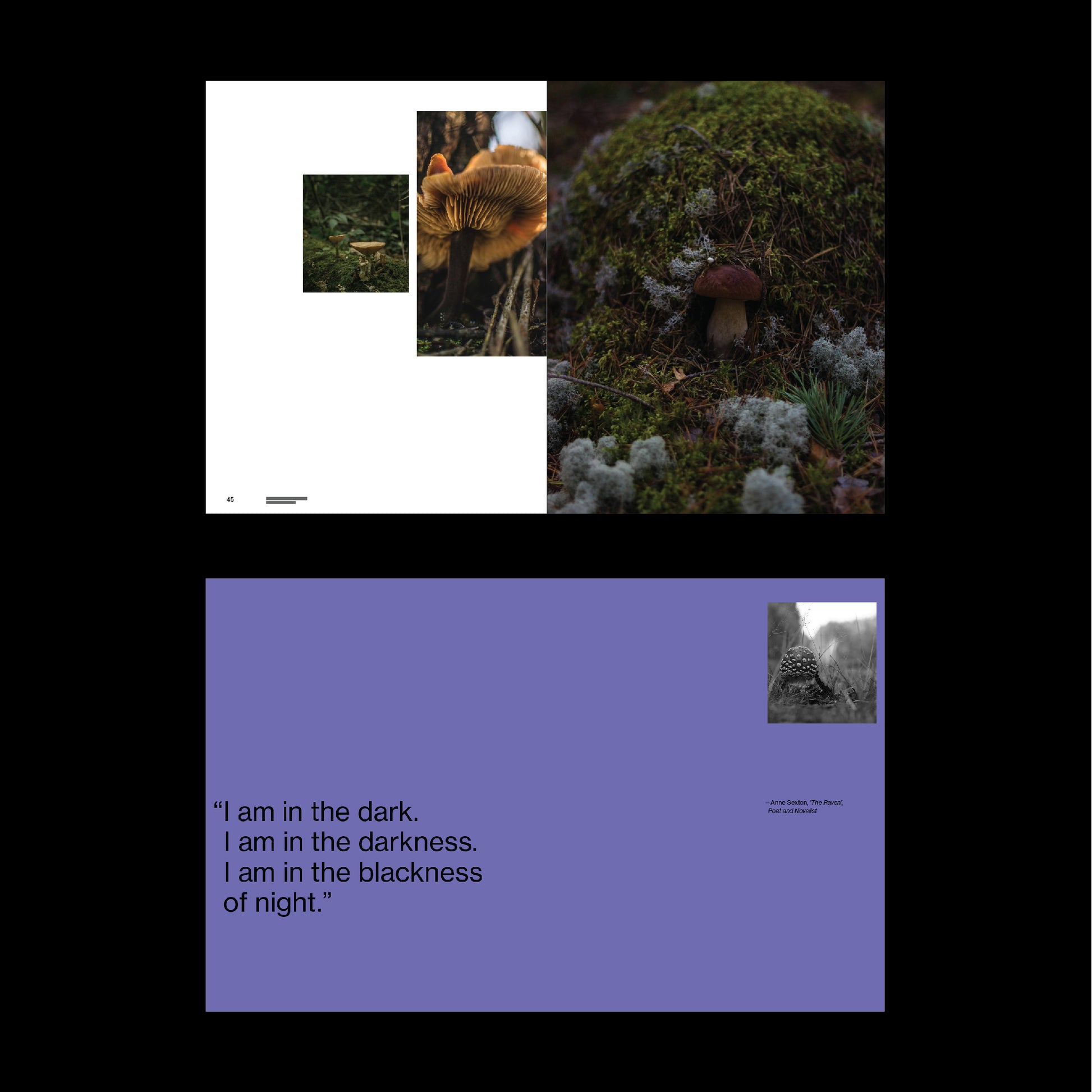 dark aesthetic book template indesign